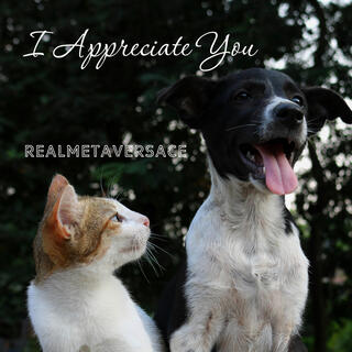 I Appreciate You cover art