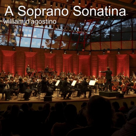 A Soprano Sonatina cover art