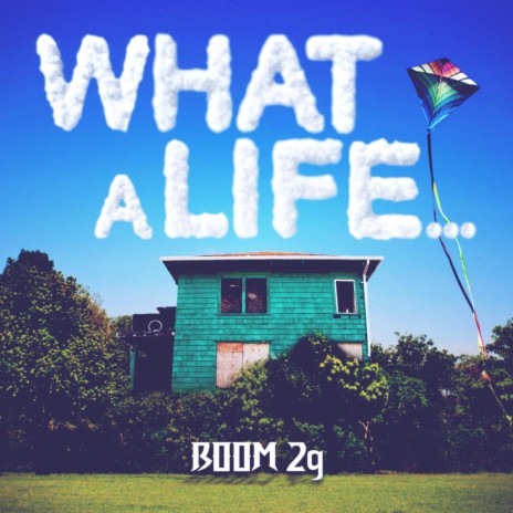 What A Life cover art