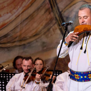 Alexandru Pal