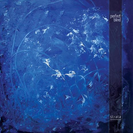 Exxodus (Album Edit Remaster) cover art