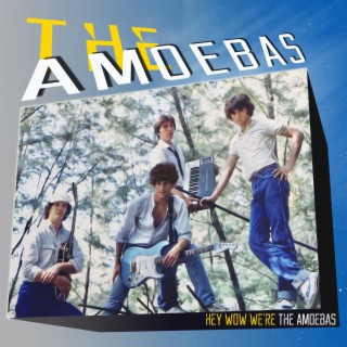 Hey Wow We're The Amoebas