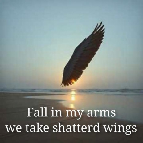 Fall in My Arms, We Take Shattered Wings cover art