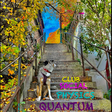 Quantum Physics Social Club cover art