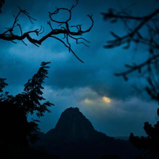 Goose Loop