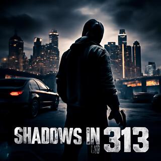 SHADOWS IN 313