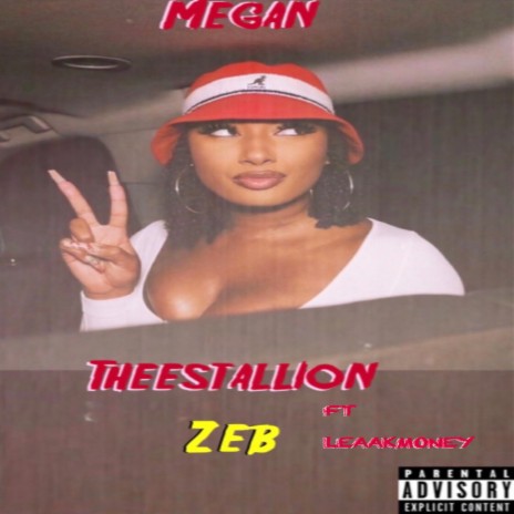 MEGAN THEESTALLION ft. Leaakmoney cover art