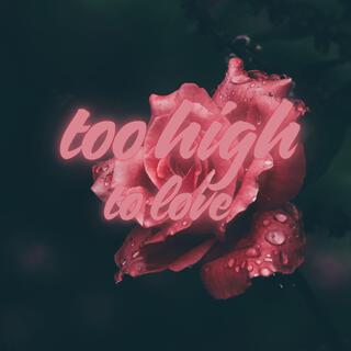 Too High To Love ft. saahilworldwide cover art