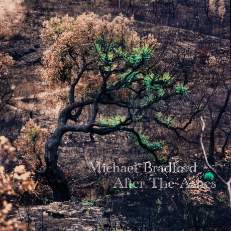 Father Of Mine cover art