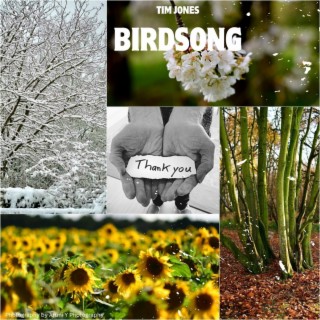 Birdsong