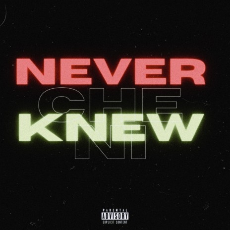 Never Knew cover art