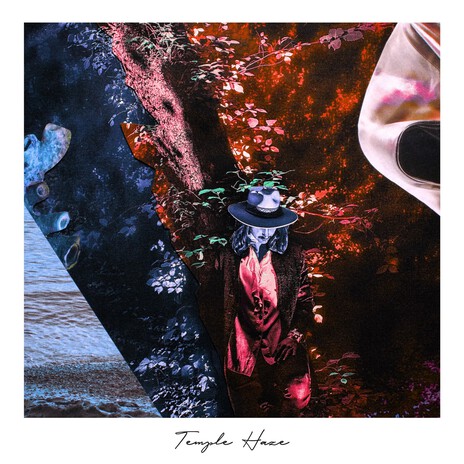 The Shadows Valley (Harry Charles Remix) cover art