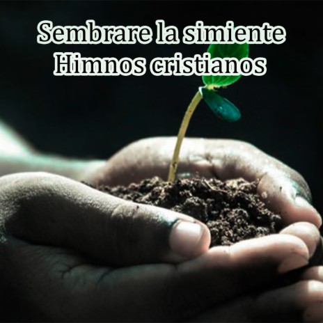 Sembrare la simiente preciosa