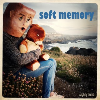 Soft Memory