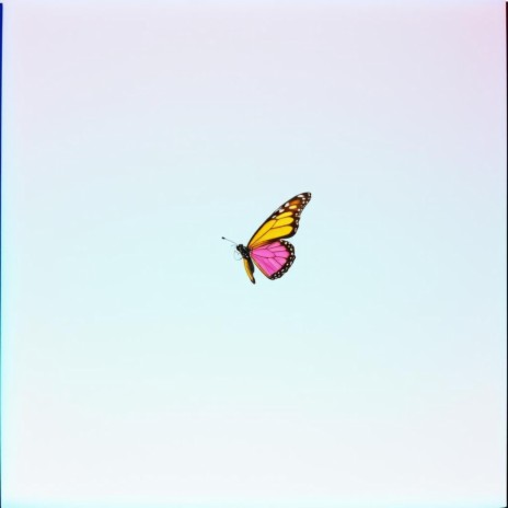 Zona De Libertad cover art