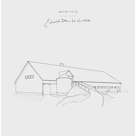 E Dub (Eduardo's Acidtroit Remix) cover art
