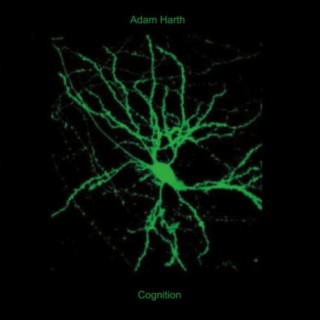 Intuitive Responses cover art