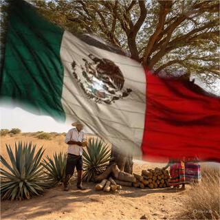 Mi estilo es ser muy mexicano cover art
