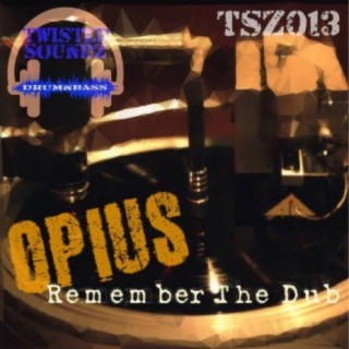 Remember The Dub (Original Mix) cover art