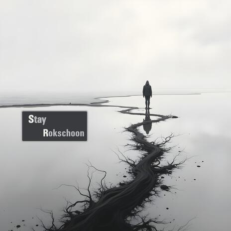 Stay cover art