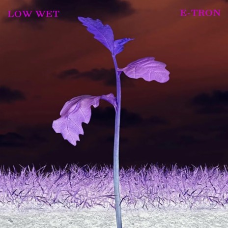 LOW WET cover art