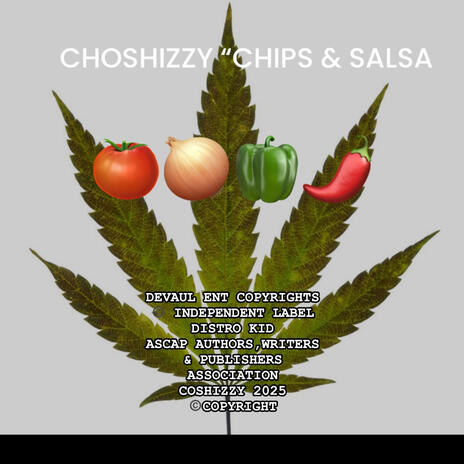 CHIPS & SALSA (Radio Edit) cover art