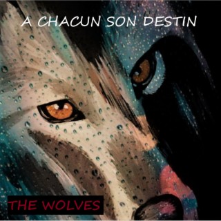 The WoLveS 13