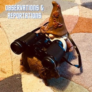 Observations and Reportations