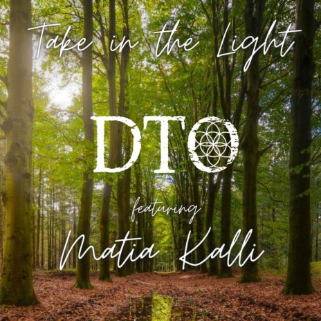 Take in the Light ft. Matia Kalli cover art