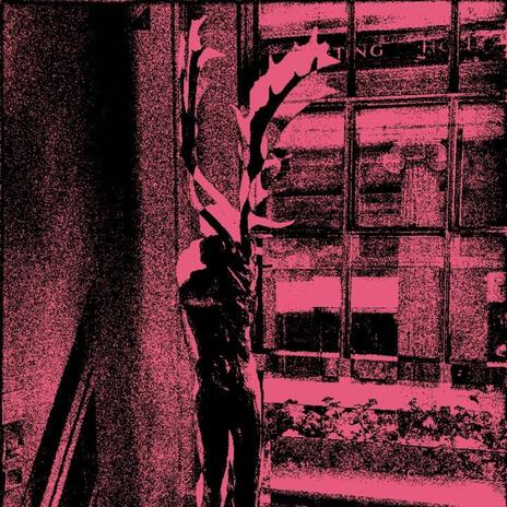 NO MORE PARTIES IN SP cover art