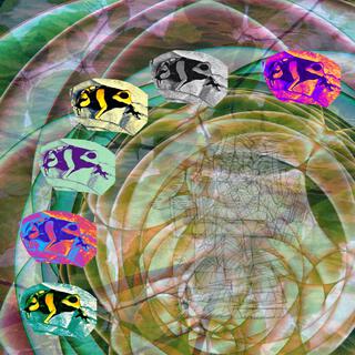 Trip Sit