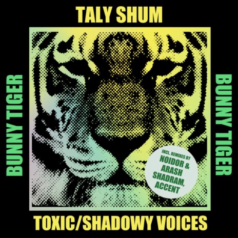 Shadowy Voices (Noidor, Arash Shadram Remix) cover art
