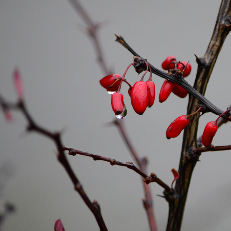 New Moon ft. Musique pour le yoga, Musique pour le fonctionnement du cerveau & Musique de fond