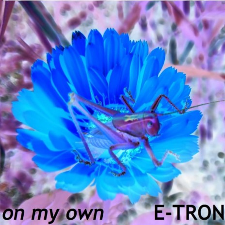 ON MY OWN cover art