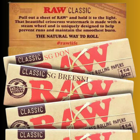 Bitch im Raw ft. Sg don & Sg Breeski cover art