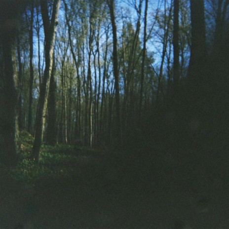 Distortion of Self cover art
