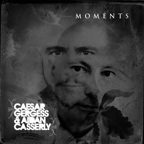 Microcosm of Beauty ft. Aidan Casserly cover art