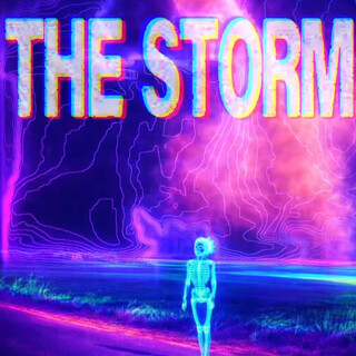 The Storm cover art