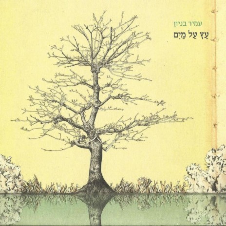 עץ על מים