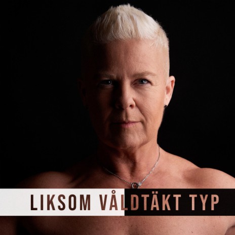 Liksom våldtäkt typ cover art