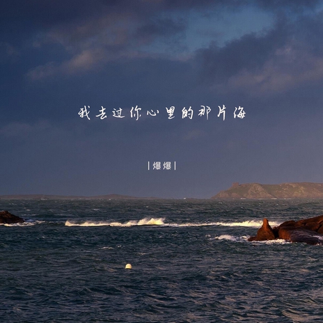 我去过你心里的那片海 (伴奏) cover art