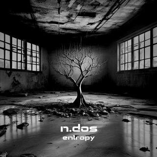 entropy