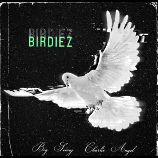 Birdiez ft. Big Semaj cover art