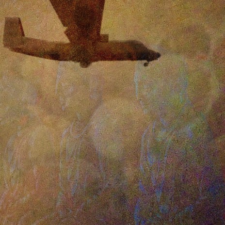 Provost cover art