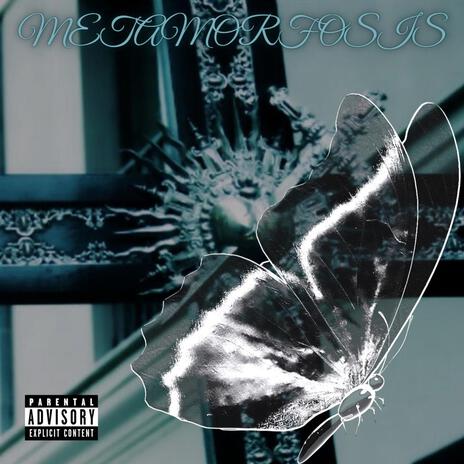Bouncy cover art