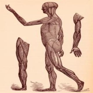 Knees and Toes cover art