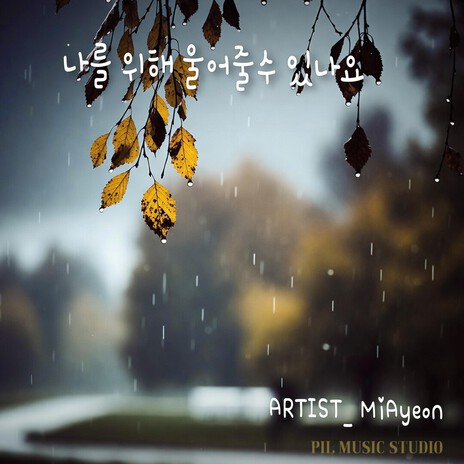 나를 위해 울어줄수 있나요 cover art