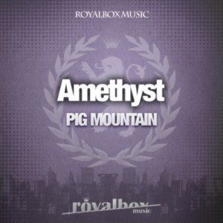 Pig Mountain (Original Mix)