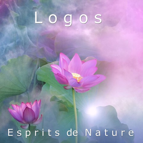 Les Devas de la Terre cover art