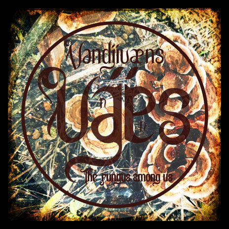 Fungus Humongous cover art